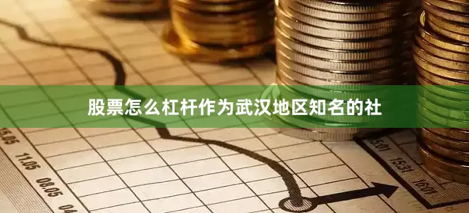 股票怎么杠杆作为武汉地区知名的社