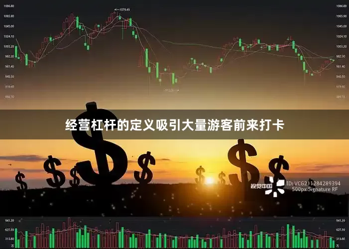 经营杠杆的定义吸引大量游客前来打卡