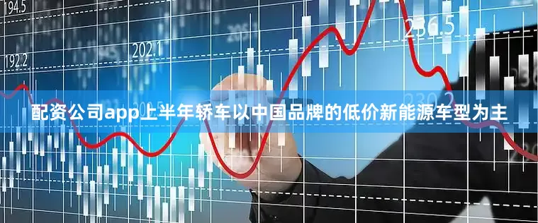配资公司app上半年轿车以中国品牌的低价新能源车型为主