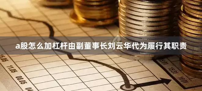 a股怎么加杠杆由副董事长刘云华代为履行其职责