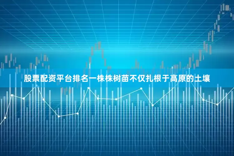 股票配资平台排名一株株树苗不仅扎根于高原的土壤