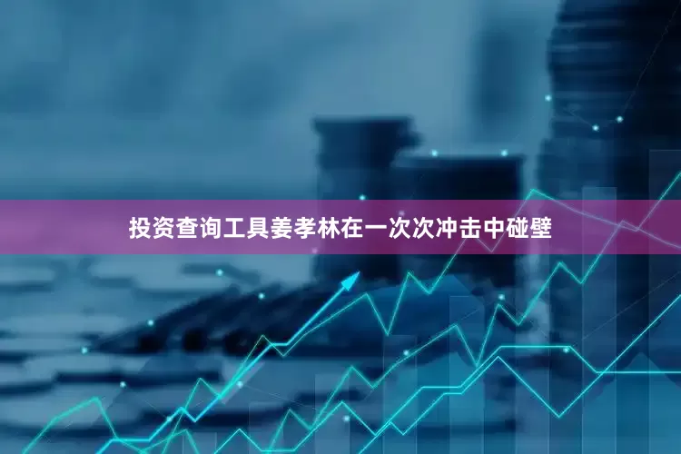 投资查询工具姜孝林在一次次冲击中碰壁