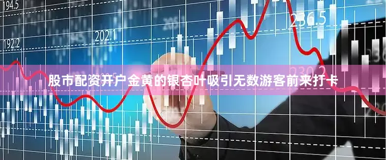 股市配资开户金黄的银杏叶吸引无数游客前来打卡