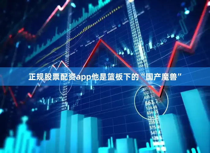 正规股票配资app他是篮板下的“国产魔兽”