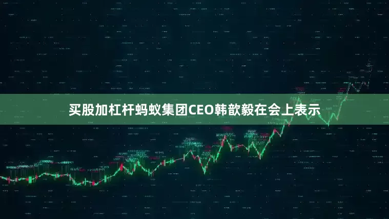 买股加杠杆蚂蚁集团CEO韩歆毅在会上表示